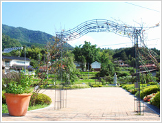 Garden of Peace
