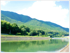 自然豊かな白木町の風景(三篠川) 自然豊かな白木町の風景(三篠川)